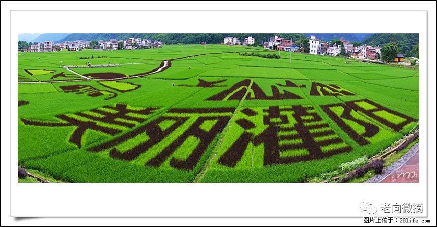 【春天，广西桂林灌阳县向您发出邀请！】开篇 - 游山玩水 - 怒江生活社区 - 怒江28生活网 nujiang.28life.com