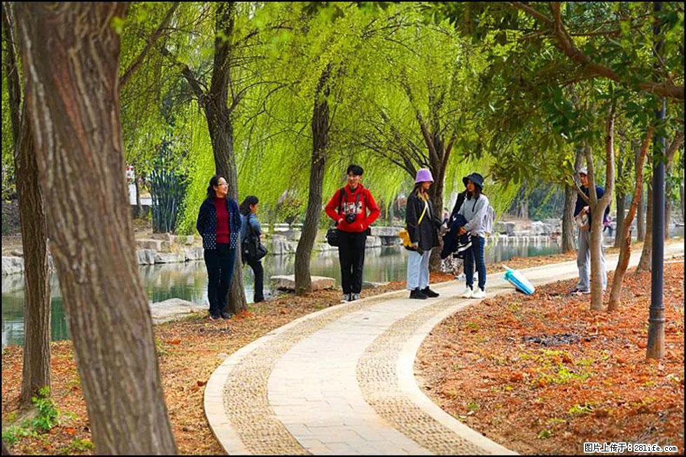 【春天，广西桂林灌阳县向您发出邀请！】江口老街又逢春 - 游山玩水 - 怒江生活社区 - 怒江28生活网 nujiang.28life.com