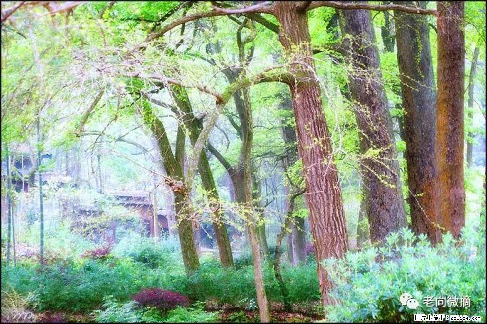 【春天，广西桂林灌阳县向您发出邀请！】在小龙村与春天约会 - 游山玩水 - 怒江生活社区 - 怒江28生活网 nujiang.28life.com