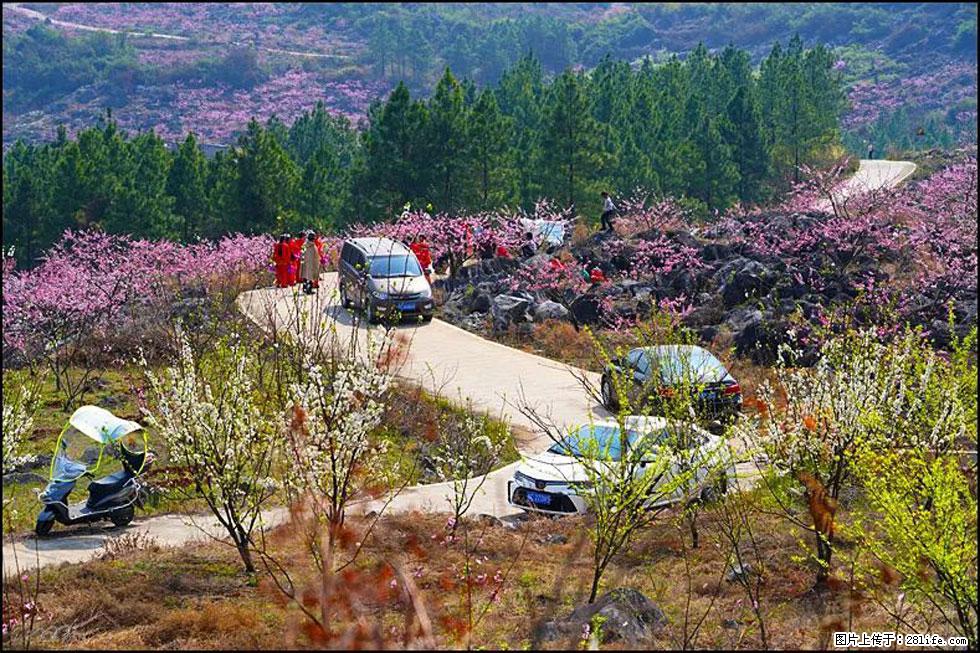 【春天，广西桂林灌阳县向您发出邀请！】望月岭上桃花开 - 游山玩水 - 怒江生活社区 - 怒江28生活网 nujiang.28life.com