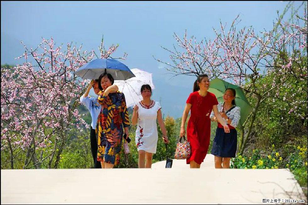 【春天，广西桂林灌阳县向您发出邀请！】望月岭上桃花开 - 游山玩水 - 怒江生活社区 - 怒江28生活网 nujiang.28life.com