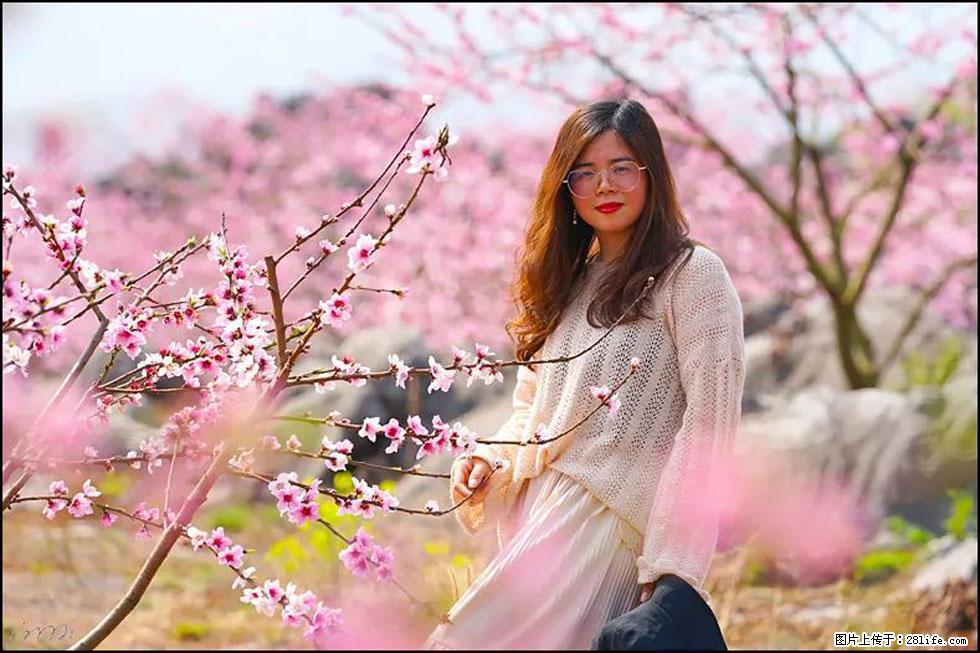 【春天，广西桂林灌阳县向您发出邀请！】望月岭上桃花开 - 游山玩水 - 怒江生活社区 - 怒江28生活网 nujiang.28life.com