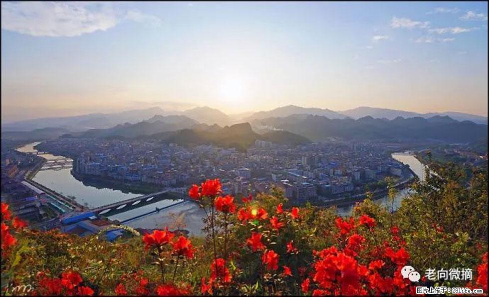 【春天，广西桂林灌阳县向您发出邀请！】登麒麟山，相约映山红 - 游山玩水 - 怒江生活社区 - 怒江28生活网 nujiang.28life.com