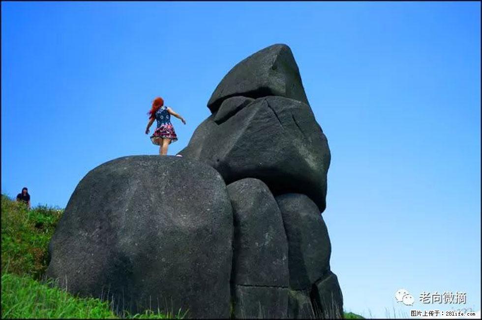 【春天，广西桂林灌阳县向您发出邀请！】宝盖山上映山红 - 游山玩水 - 怒江生活社区 - 怒江28生活网 nujiang.28life.com