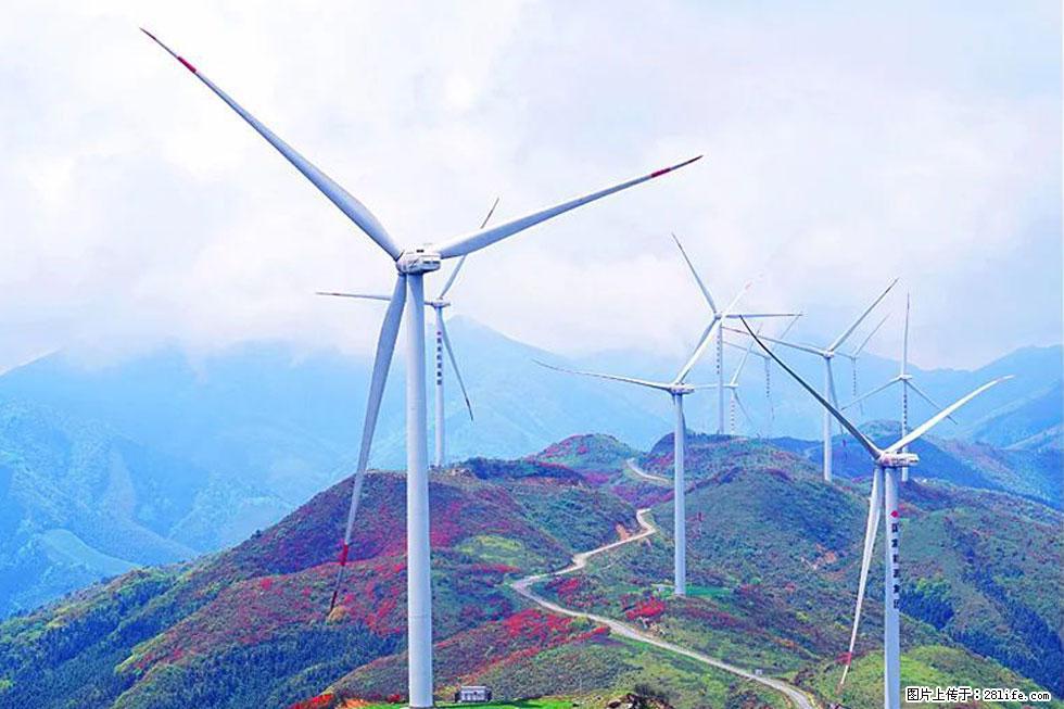 【春天，广西桂林灌阳县向您发出邀请！】春木界上映山红 - 游山玩水 - 怒江生活社区 - 怒江28生活网 nujiang.28life.com