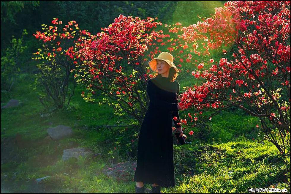 【春天，广西桂林灌阳县向您发出邀请！】春木界上映山红 - 游山玩水 - 怒江生活社区 - 怒江28生活网 nujiang.28life.com