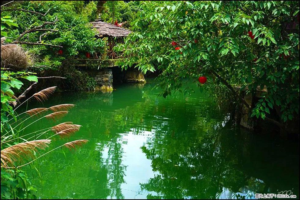 【春天,广西桂林灌阳县向您发出邀请!】如梦似幻莲溪庐 - 游山玩水 - 怒江生活社区 - 怒江28生活网 nujiang.28life.com