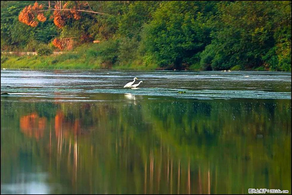 【春天，广西桂林灌阳县向您发出邀请！】熊家寨湿地公园 - 游山玩水 - 怒江生活社区 - 怒江28生活网 nujiang.28life.com