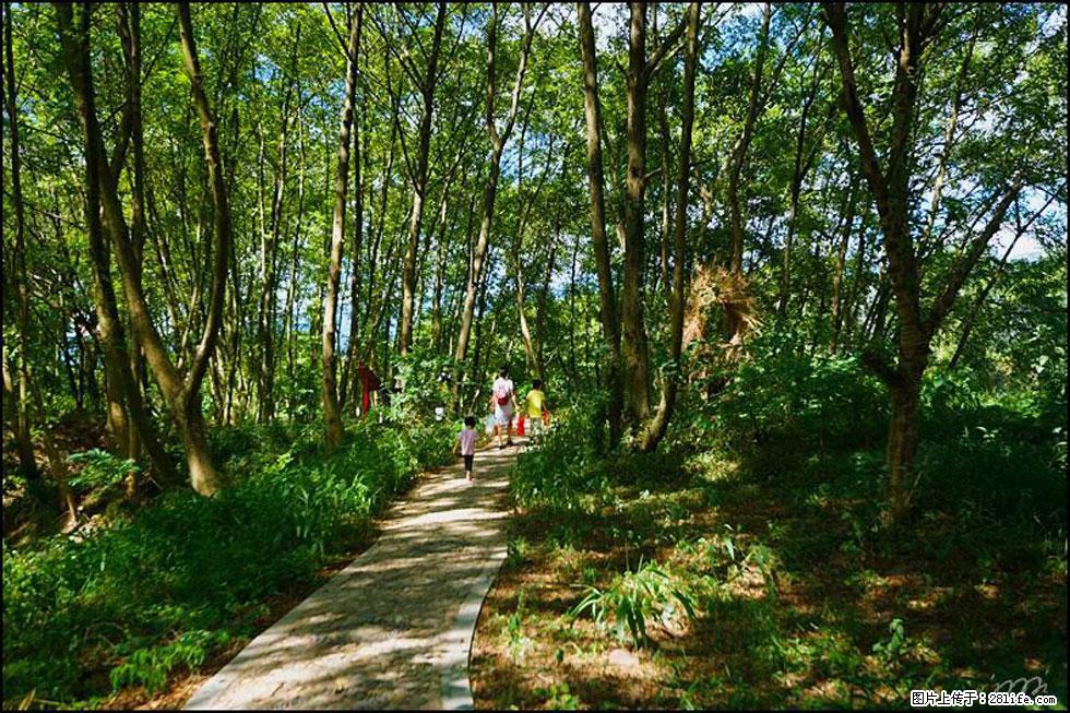 【春天，广西桂林灌阳县向您发出邀请！】熊家寨湿地公园 - 游山玩水 - 怒江生活社区 - 怒江28生活网 nujiang.28life.com