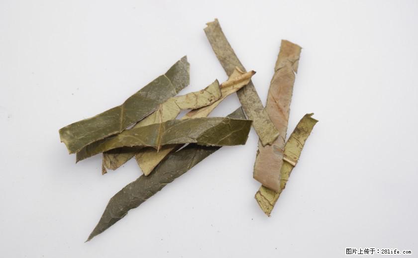 苦丁茶有哪些功效和作用 - 生活百科 - 怒江生活社区 - 怒江28生活网 nujiang.28life.com