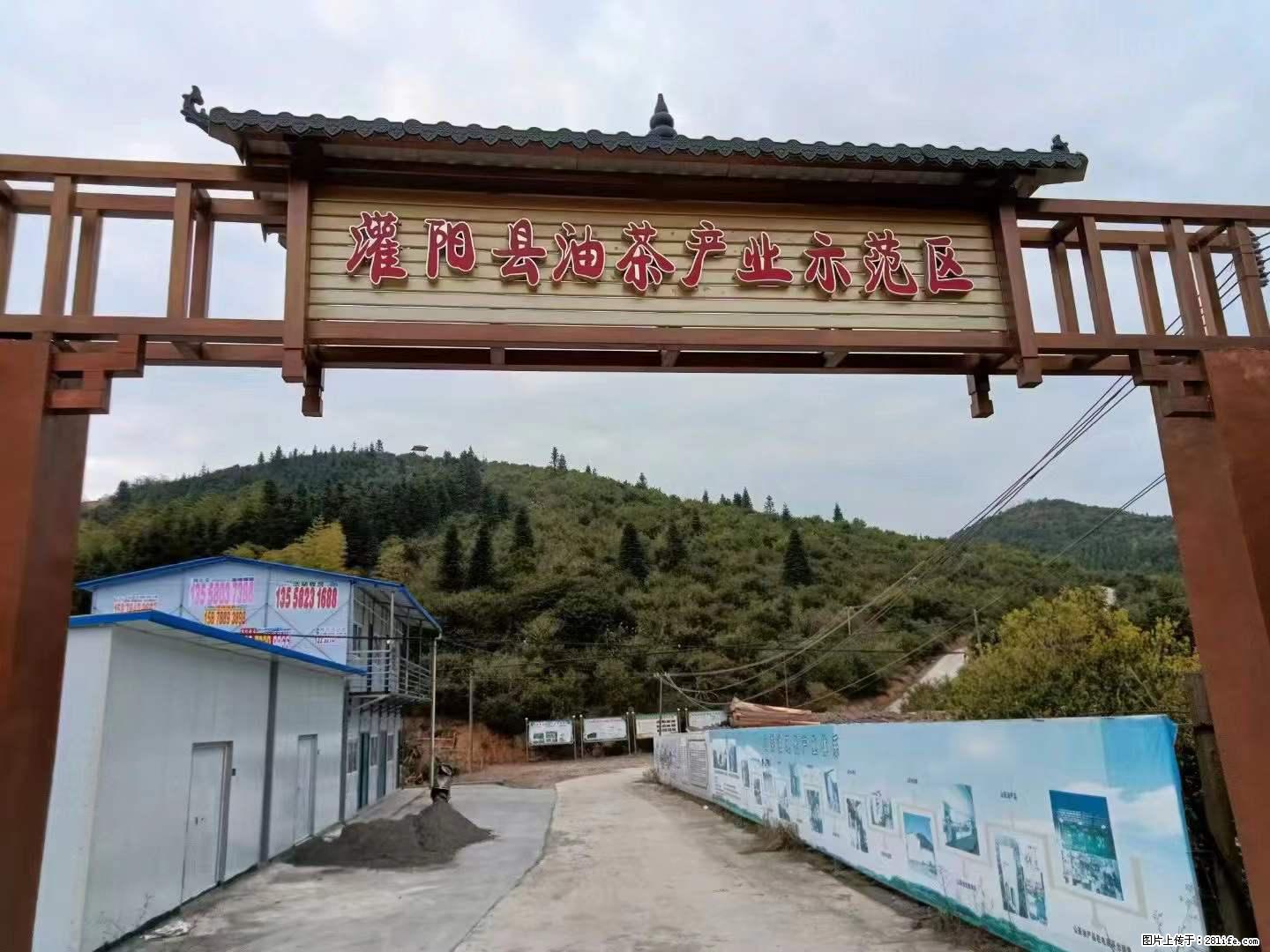 【灌阳县油茶产业示范区】一个有着充实的精神生活的人，对待身外之物自会有一种淡泊的态度 - 美食天地 - 怒江生活社区 - 怒江28生活网 nujiang.28life.com