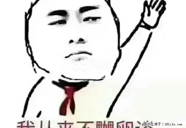 万宜名城 3室2厅1卫 - 房屋出租 - 房屋租售 - 怒江分类信息 - 怒江28生活网 nujiang.28life.com