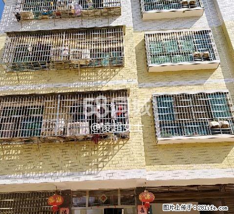 艺芳学校 2室1厅1卫 - 房屋出租 - 房屋租售 - 怒江分类信息 - 怒江28生活网 nujiang.28life.com