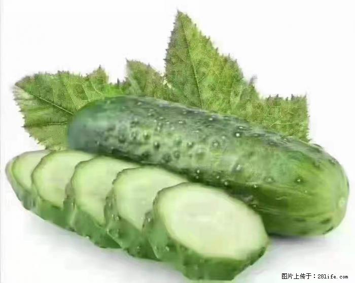 【生活小常识】吃黄瓜的好处 - 生活百科 - 怒江生活社区 - 怒江28生活网 nujiang.28life.com