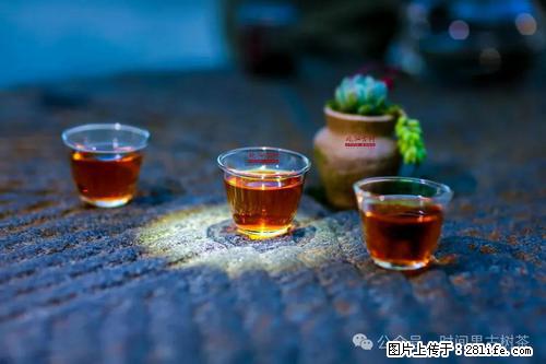 时间果百年古树2025年春红茶 - 购物交流 - 怒江生活社区 - 怒江28生活网 nujiang.28life.com