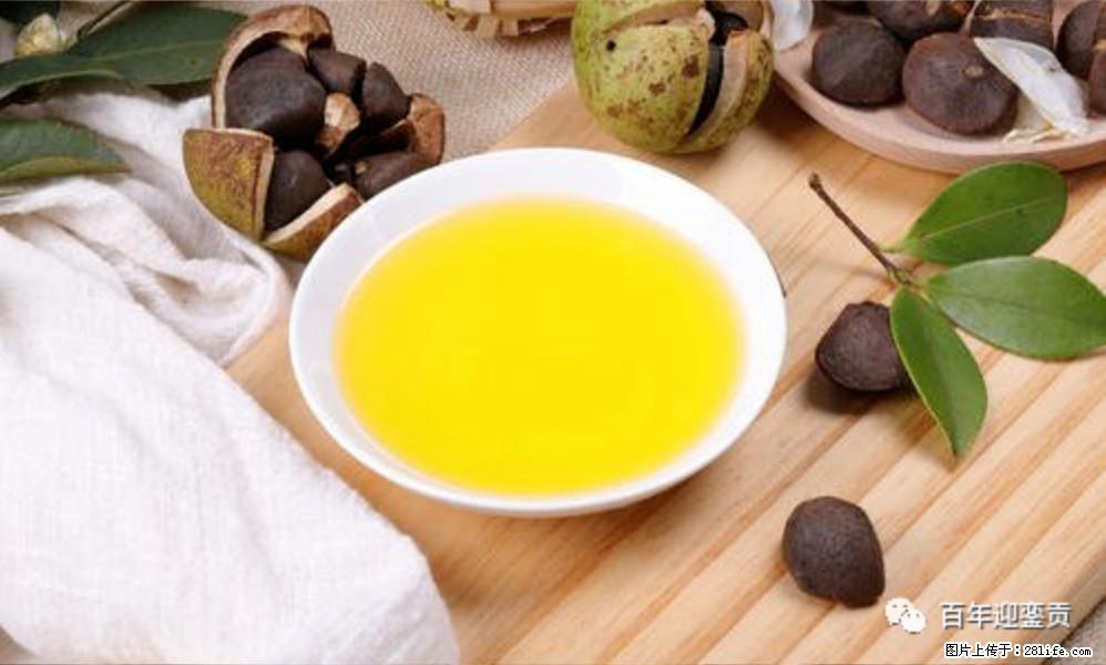 揭秘茶油的5大核心营养成分！被称为人体健康的“守护盾”！ - 怒江生活资讯 - 怒江28生活网 nujiang.28life.com