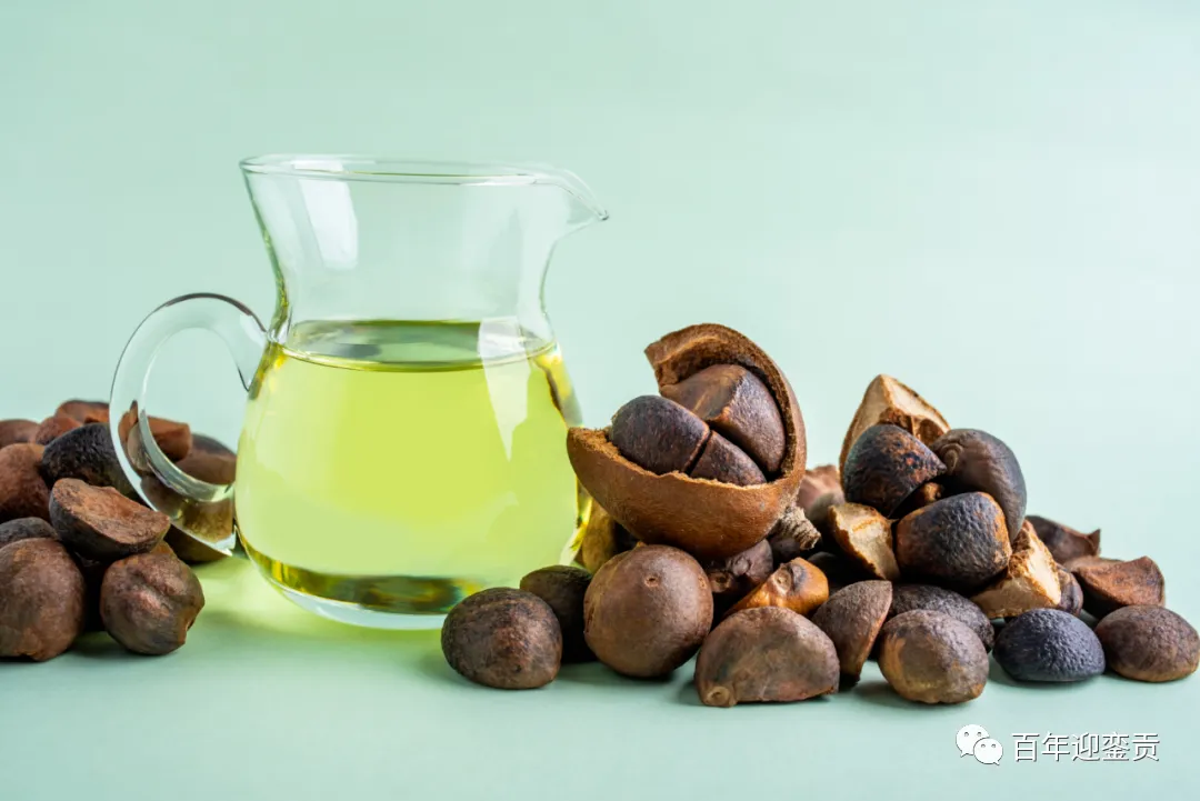 世界没有真相，只有认知，最好的食用油是中国的山茶油！ - 怒江生活资讯 - 怒江28生活网 nujiang.28life.com