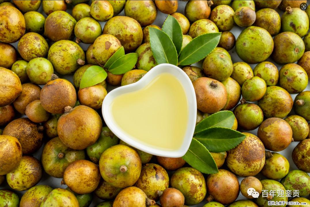 世界没有真相，只有认知，最好的食用油是中国的山茶油！ - 怒江生活资讯 - 怒江28生活网 nujiang.28life.com