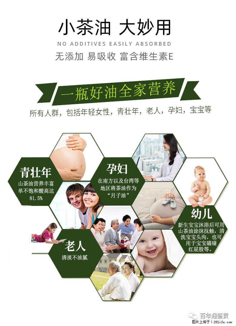 世界没有真相，只有认知，最好的食用油是中国的山茶油！ - 怒江生活资讯 - 怒江28生活网 nujiang.28life.com