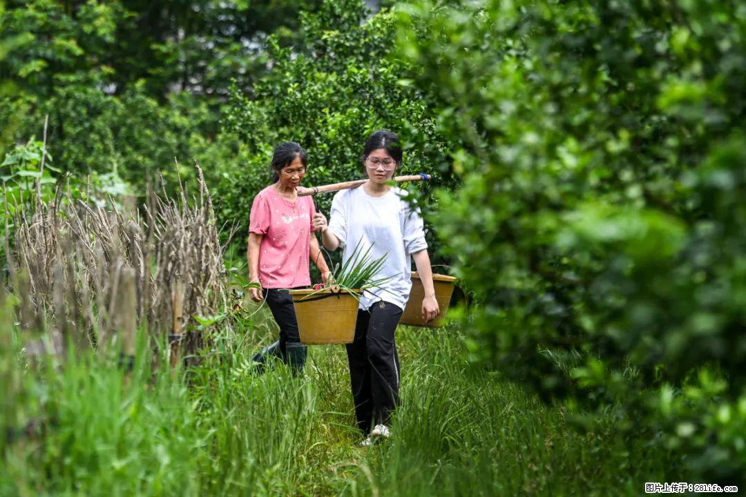 全网追的“扁担女孩”，找了一份暑假工，时薪12元 - 怒江生活资讯 - 怒江28生活网 nujiang.28life.com