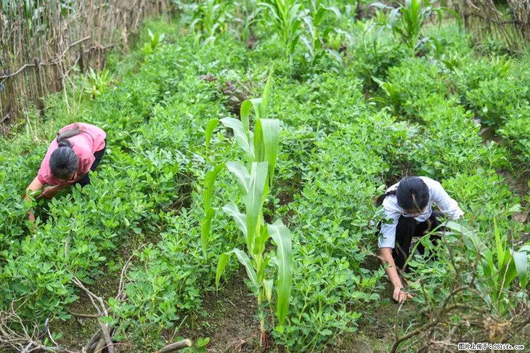 全网追的“扁担女孩”，找了一份暑假工，时薪12元 - 怒江生活资讯 - 怒江28生活网 nujiang.28life.com
