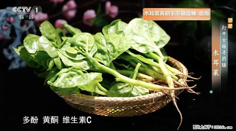 比牛奶补钙还厉害!凉血解毒、稳血糖...这菜冬天必吃,很多人却当草 - 怒江生活资讯 - 怒江28生活网 nujiang.28life.com