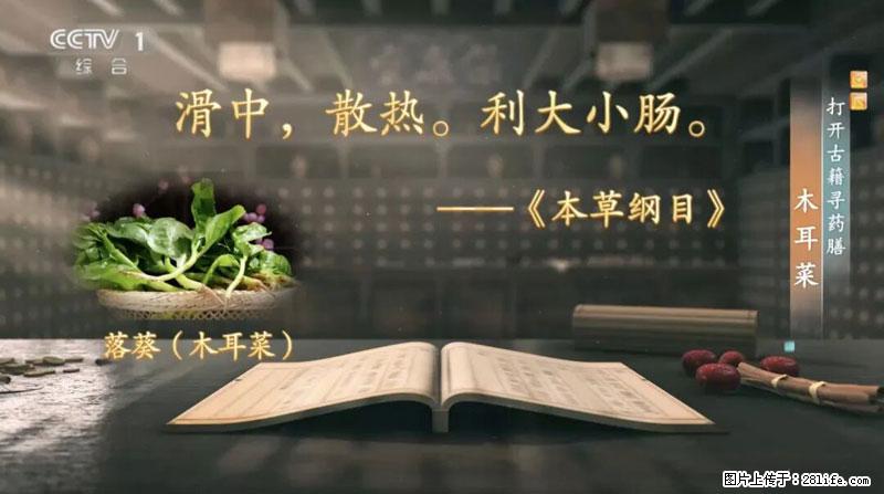 比牛奶补钙还厉害!凉血解毒、稳血糖...这菜冬天必吃,很多人却当草 - 怒江生活资讯 - 怒江28生活网 nujiang.28life.com